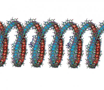 О природе живой материи