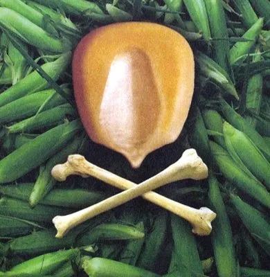 Продовольственный фашизм, всеобщая наркомания