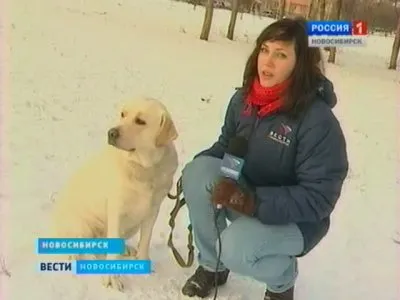 Готовы ли новосибирцы чипировать домашних питомцев?