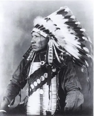 Высказывания вождей североамериканских индейцев