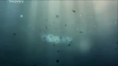 Необходимые условия для зарождения жизни во Вселенной