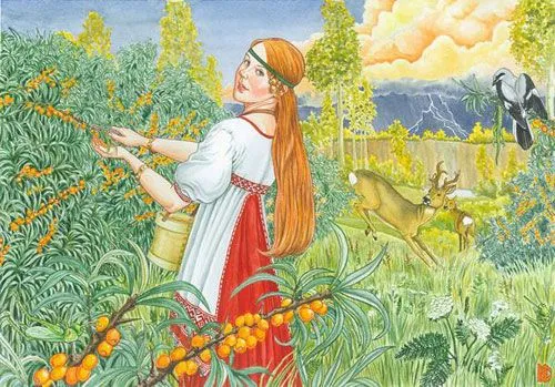 Живая пища для живых людей (Видеофильм)