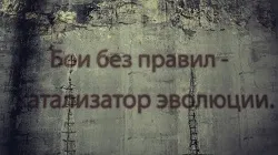 Бои без правил - катализатор эволюции (HD)