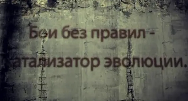 Бои без правил - катализатор эволюции (HD)