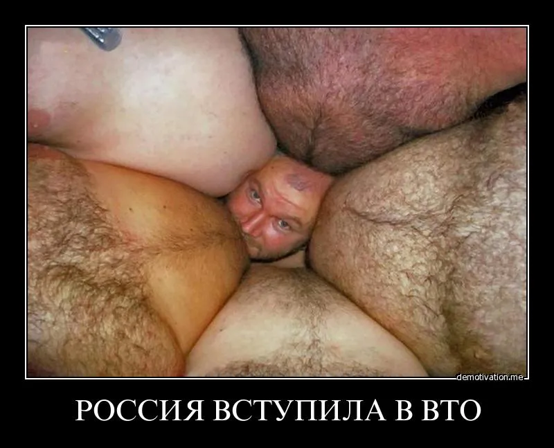 16 декабря 2011г. Россия вступила в ВТО: Перспективы и Прогнозы