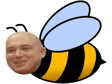 Полёт Пархатого Шмеля