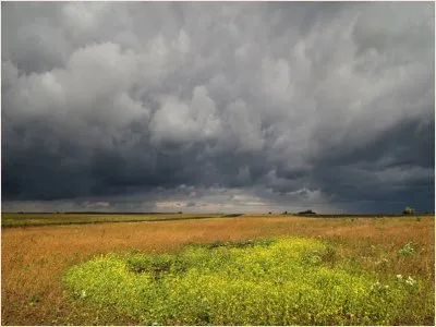Россия сосредотачивается