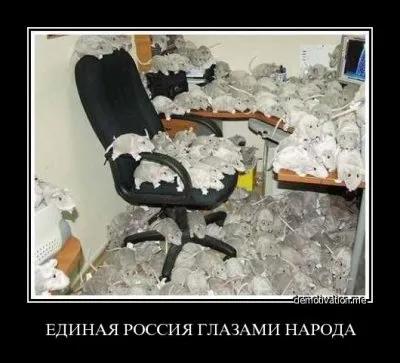 Памятка гражданину РФ