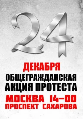 О митинге 24 декабря (видео)