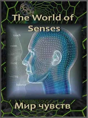 Мир чувств / The World of Senses (2010) SATRip