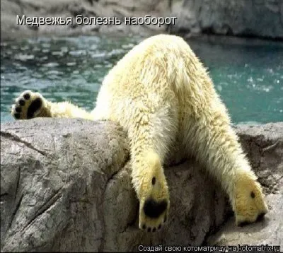 Интернет-передача «На самом деле» от 23.12.2011