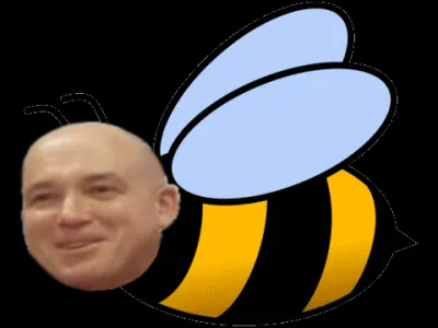 Полёт Пархатого Шмеля