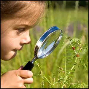 Воспитание – наука понимать