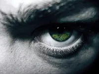 Магия ненависти в политике