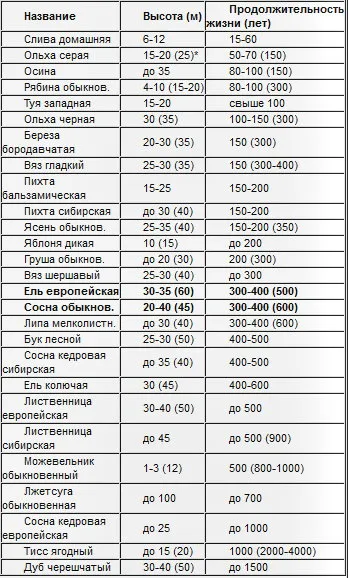 Мне понятна твоя вековая печаль... Мне понятна твоя вековая печаль...