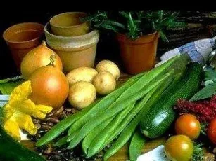 Вегетарианство - путь к бессмертию?