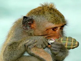 Как свободолюбивые ливийцы с Каддафи боролись