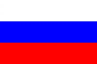 Русские политики для Русского правительства