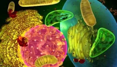 Бог чудес / God of Wonders (2009) DVDRip