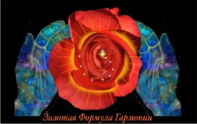 Человек пентаграммы и «золотая» формула Гармонии
