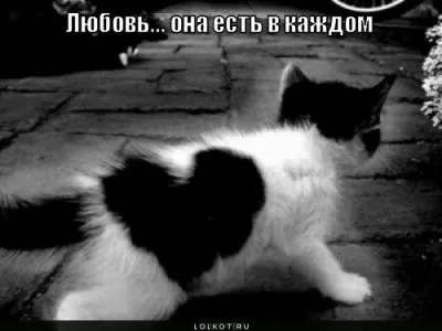 прочтите и задумайтесь