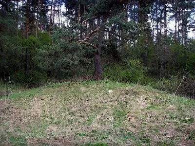 Курганы. Найдены уникальные артефакты