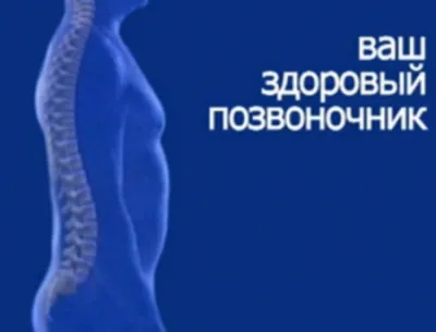 Гимнастика для позвоночника