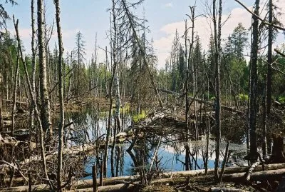 Москва уходит под землю. ОБНОВЛЕНИЕ ОТ 13 АПРЕЛЯ 2012