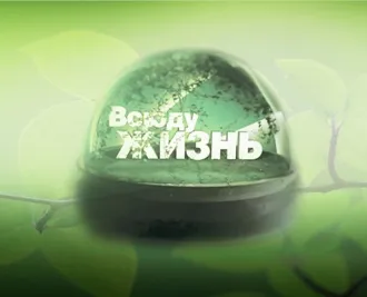 Магические ритуалы содай