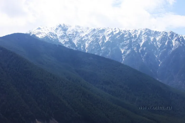 Фильм о семинаре по йоге клуба OUM.RU в Теберде май 2011