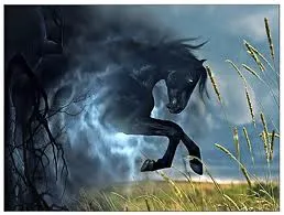 Обретая Свободу