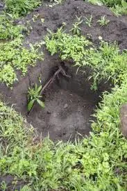 Древнейший город на Волхове могут снести бульдозером.