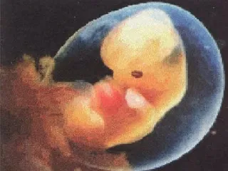 Наука и церковь — вечное противостояние