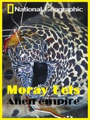 Мурены. Чужая империя / Moray. Alien empire (2010) HDTVRip