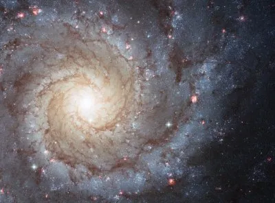 Принцип построения буковъ. Грамота древних славян. ВИДЕО.