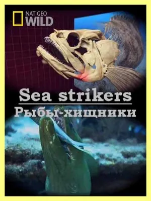 Рыбы-хищники / Sea strikers (2010) HDTVRip