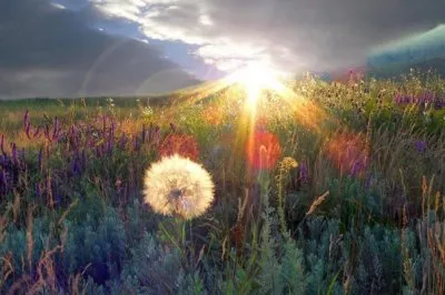 Обретая Свободу