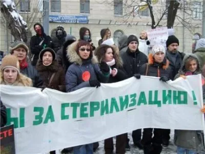 Россия: царство бродячих псов