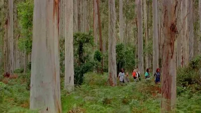 Дикая Австралия: Грань / IMAX - Wild Australia: The Edge (1996) BDRip 1080p
