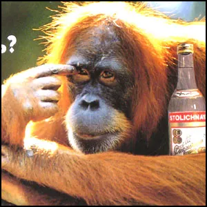 Голосуй – не голосуй, всё равно…