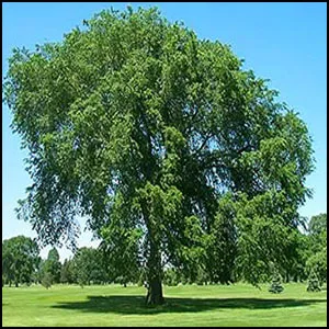 Учимся наводить порядок вокруг себя