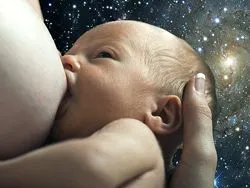 У человека и обезьяны нет предков на земле!