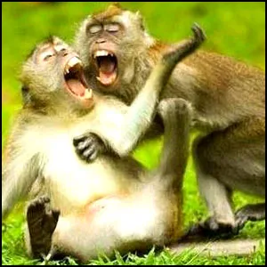 Духовные дети д-ра Геббельса