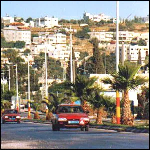 Уничтожение Дженина. Начало