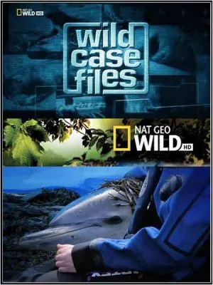 Секретные материалы природы. Гигантская паутина в Техасе / Wild Case Files (2011) HDTVRip