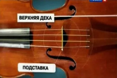 Наука 2.0. Человеческий фактор. Звуковые волны (2011) SATRip