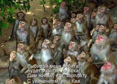 Россия без Путина? Апокалипсис уже сегодня!