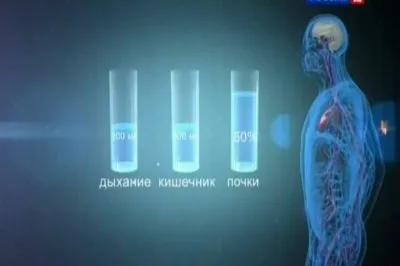 Наука 2.0. Человеческий фактор. Питьевая вода (2011) SATRip