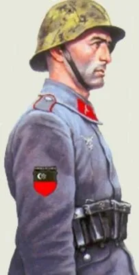За что депортировали чеченцев и ингушей.