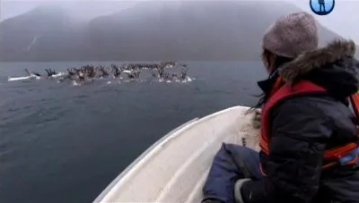 Арктика. Жизнь в лютый мороз / Human planet. Arctic: Life in the Deep Freeze (2012) SATRip